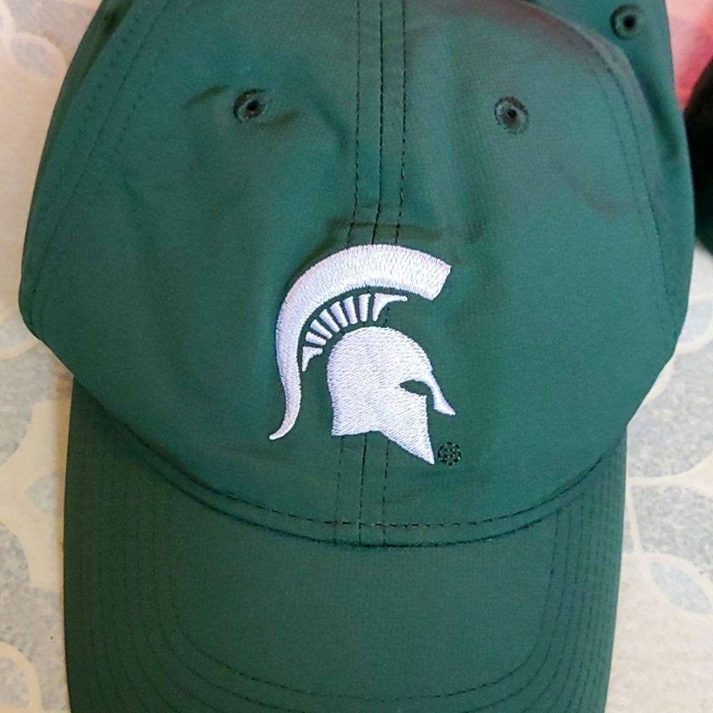 Michigan State hat